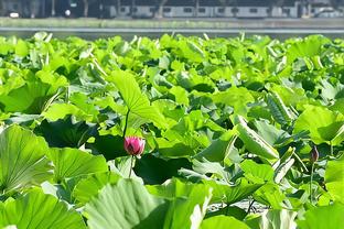 半场-弗林蓬补时破门阿德利倒地未判点 勒沃库森暂1-0海登海姆